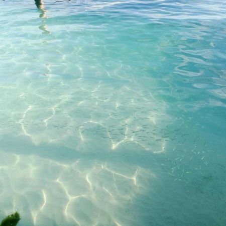 Hidden Island Glamping Isla Mujeres Hotel ภายนอก รูปภาพ